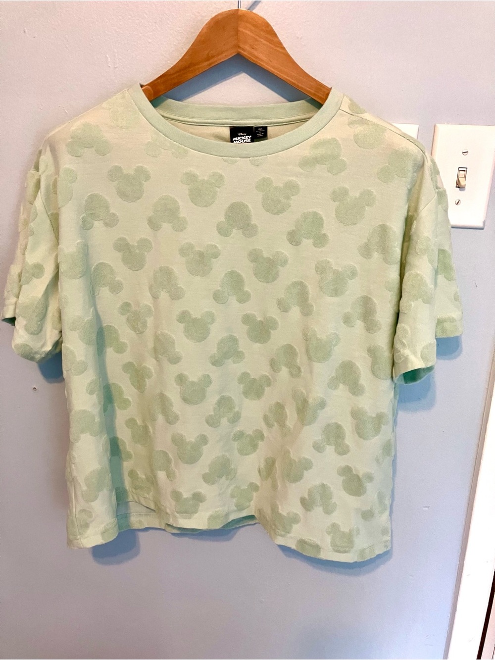 Disney Mint Green Mickey Pattern Chenille accent top